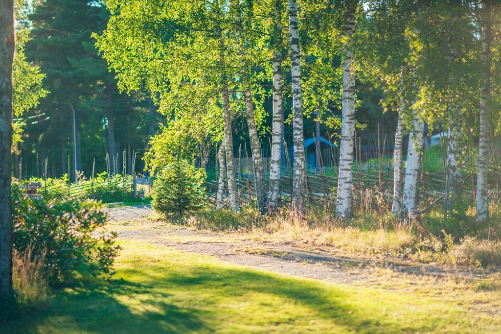 Olsbacka Cottage Falun Buitenkant foto