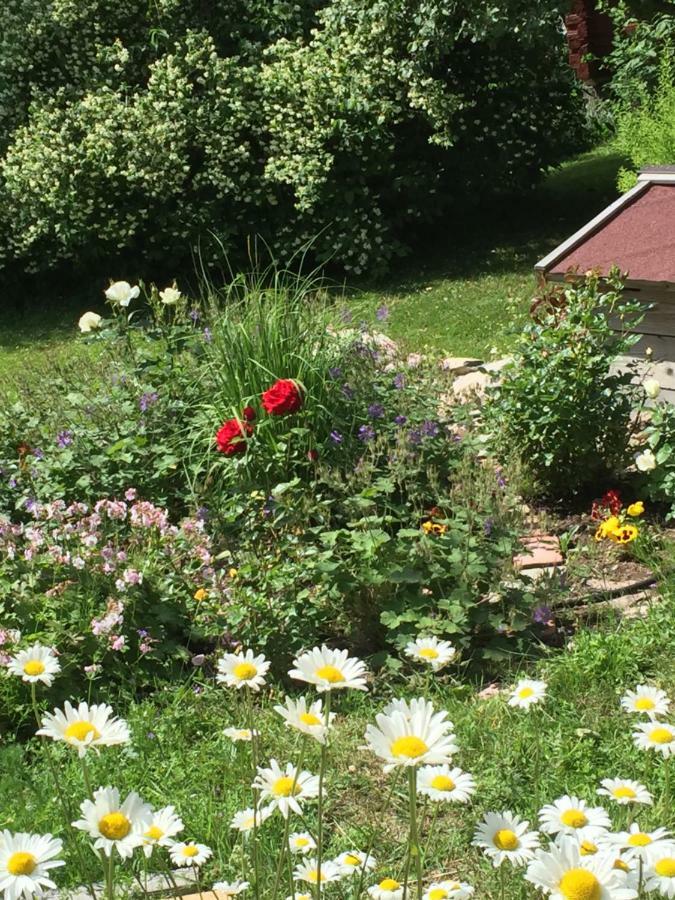 Olsbacka Cottage Falun Buitenkant foto
